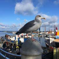 Warnemünde - Blick auf den alten Strom