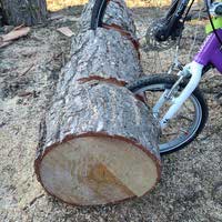 Bild zum Artikel "Selbstgebauter Fahrradständer aus Stammholz"