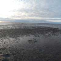 Norddeich - Blick über das Watt