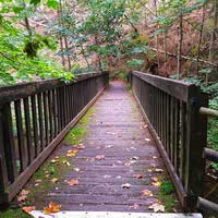 Okertal - Holzbrücke über den noch kleinen Fluss Oker im Harz