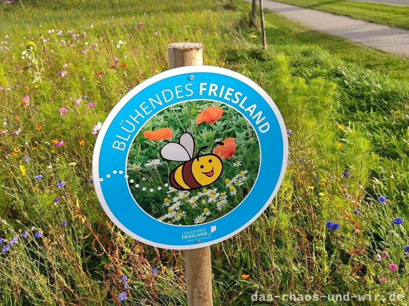 Blühendes Friesland