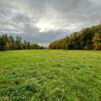 Weitläufige Wiese im Kurpark