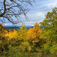 Blick von der Leuchtenburg