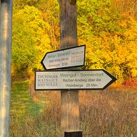 Wegweiser zum Weingut Sonnendorf