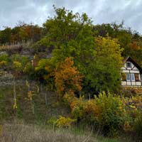 Weinberg mit Fachwerkhaus bei Bad Sulza