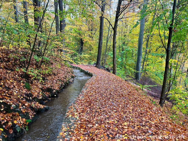 Wasserfallgraben für Trusetaler Wasserfall