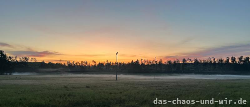 Sonnenaufgang und Nebel über Wiesen