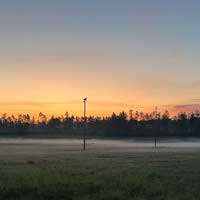 Sonnenaufgang und Nebel über Wiesen